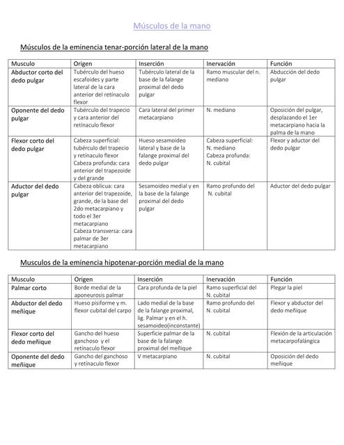 Músculos de la Mano 