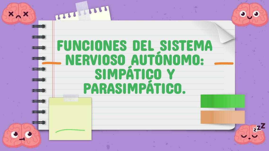 Funciones del Sistema Nervioso Autónomo: Simpático y Parasimpático 