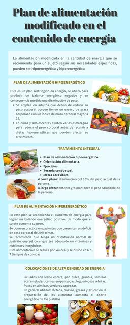 Plan de Alimentación Modificado en el Contenido de Energía 