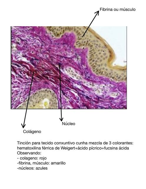 Imaxes Tincions