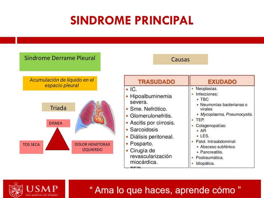 SINDROME DERRAME PLEURAL