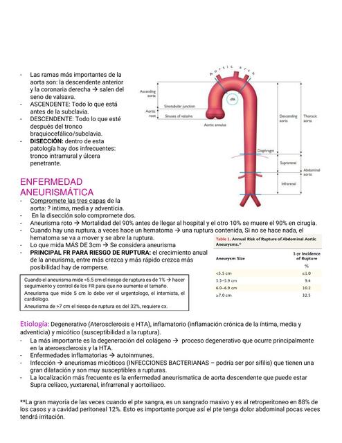 Síndrome Aórtico 