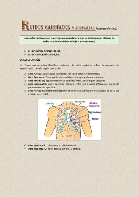 Ruidos Cardíacos y Anomalías *apuntes de clase*