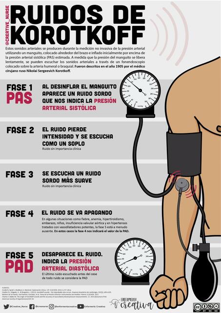 Ruidos de Korotkoff / Infografía