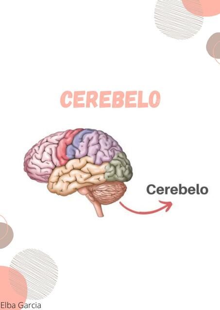 Cerebelo 