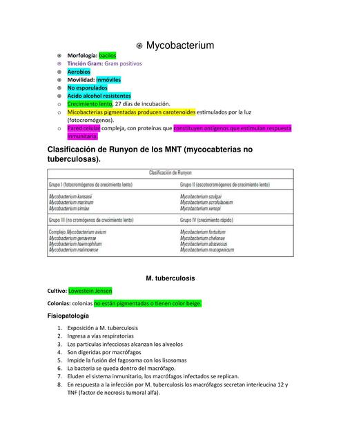 Mycobacterium 