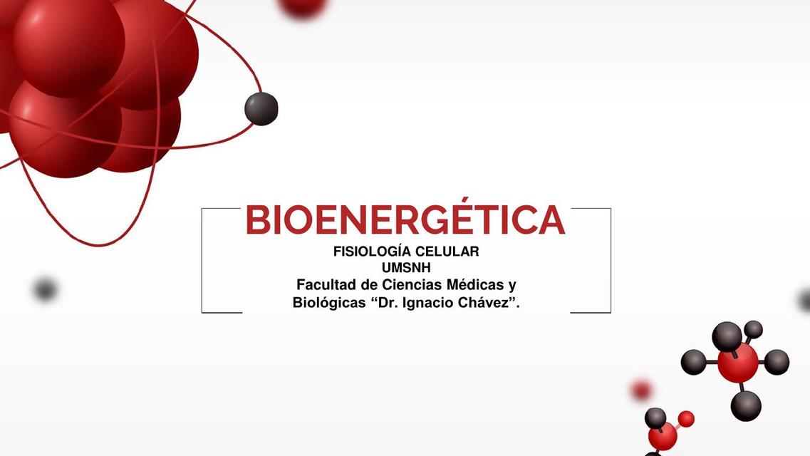 Bioenergética MH uDocz