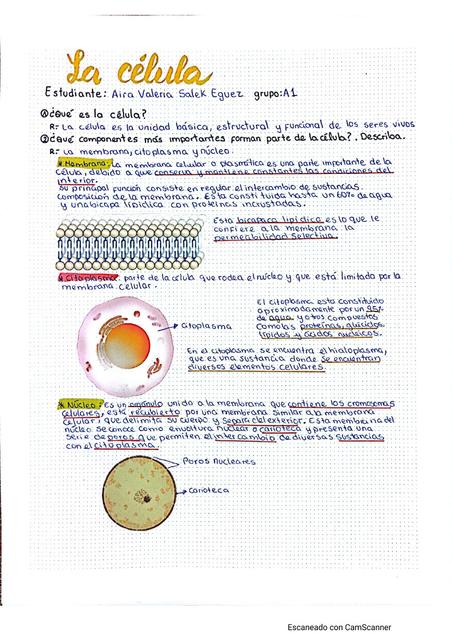 La Célula (Cuestionario de Fisiología) 