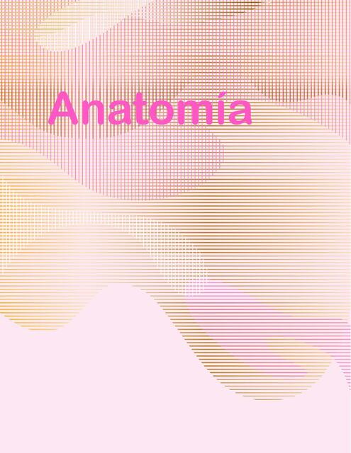 Anatomía