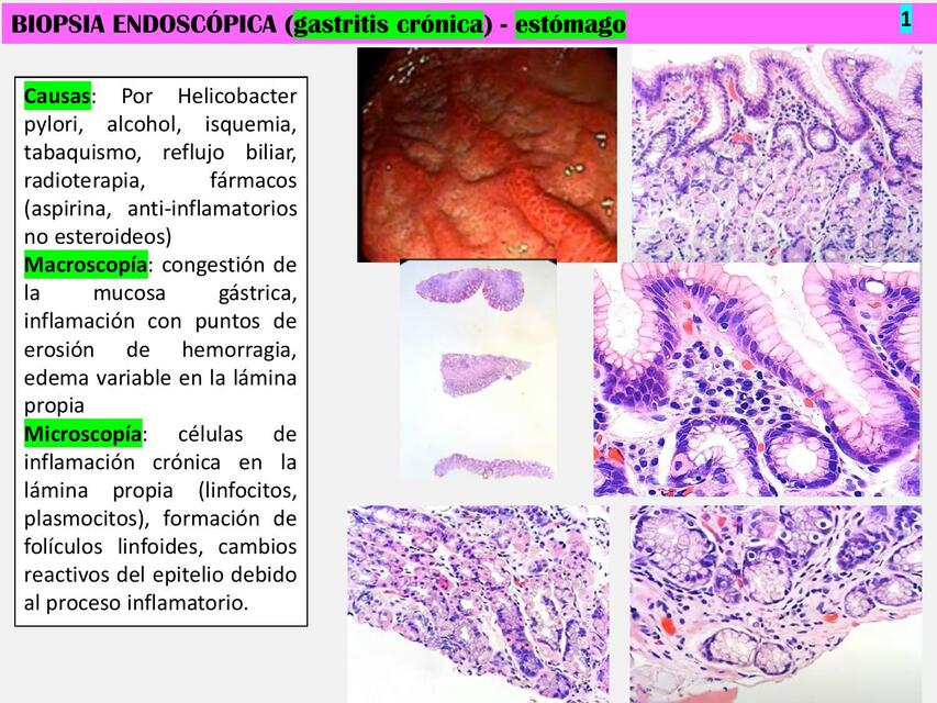 Repaso Laboratorio 1