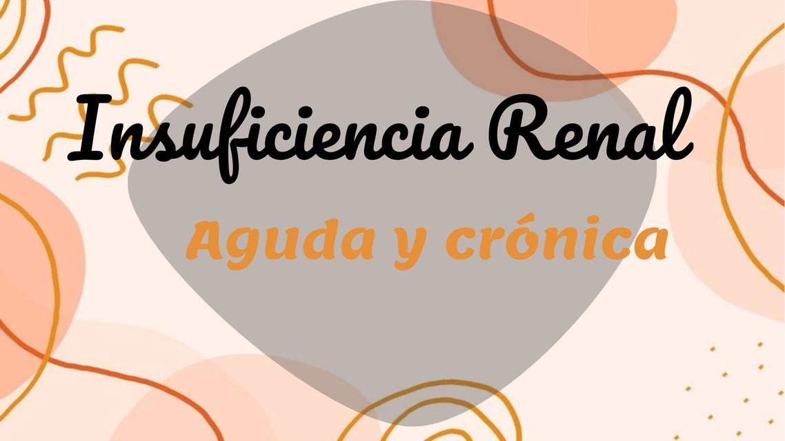 Diapositivas Insuficiencia Renal