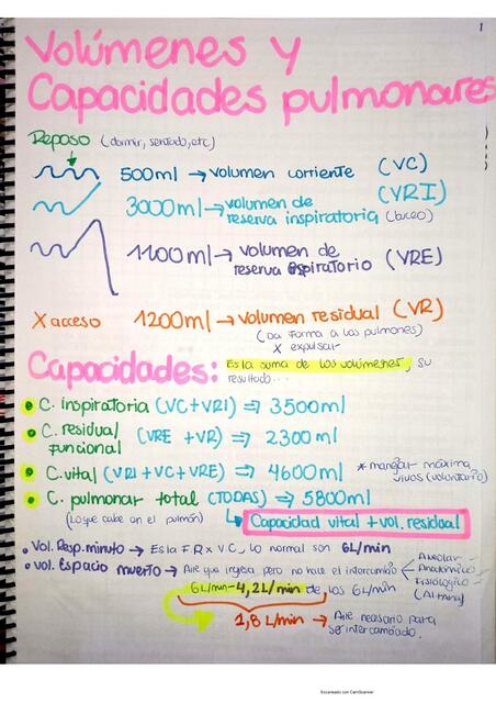 Volúmenes y Capacidades Pulmonares 