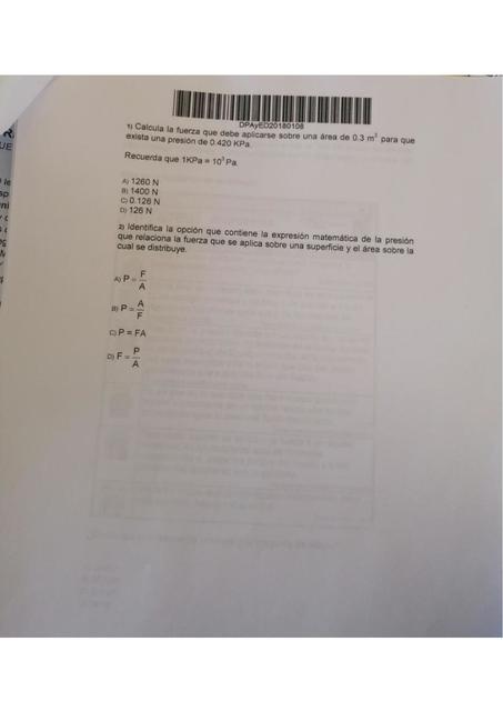 Matemáticas y Representaciones del Sistema Natural