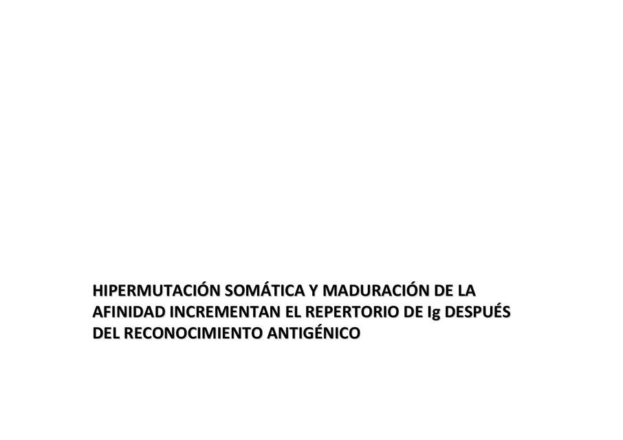 Hipermutación Somática y Maduración de la Afinidad