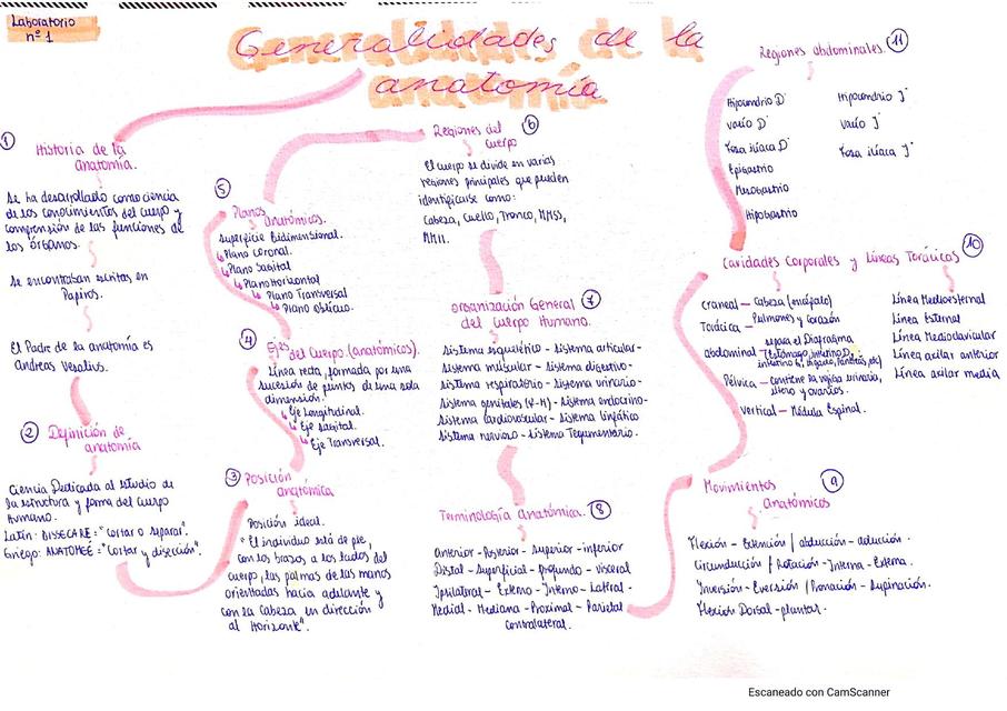 Generalidades de la Anatomía