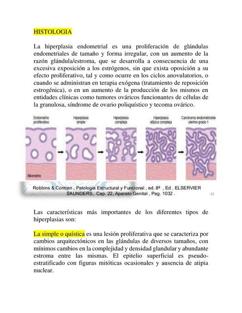 Hiperlapsia Endometrial