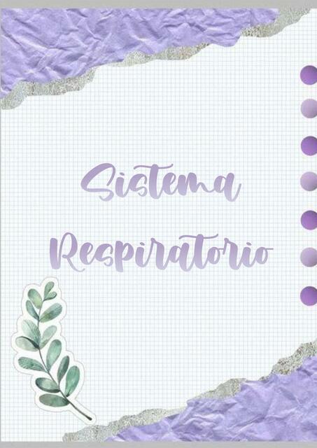 Sistema Respiratorio 