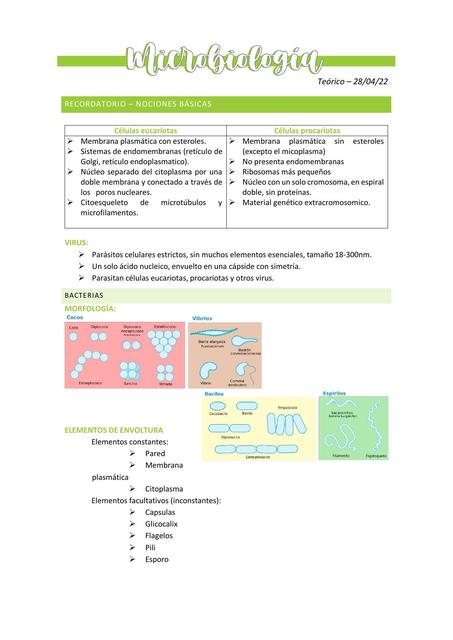 Nociones básicas de microbiología