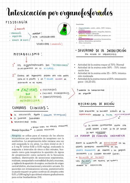 Intoxicación de los Organofosforados 