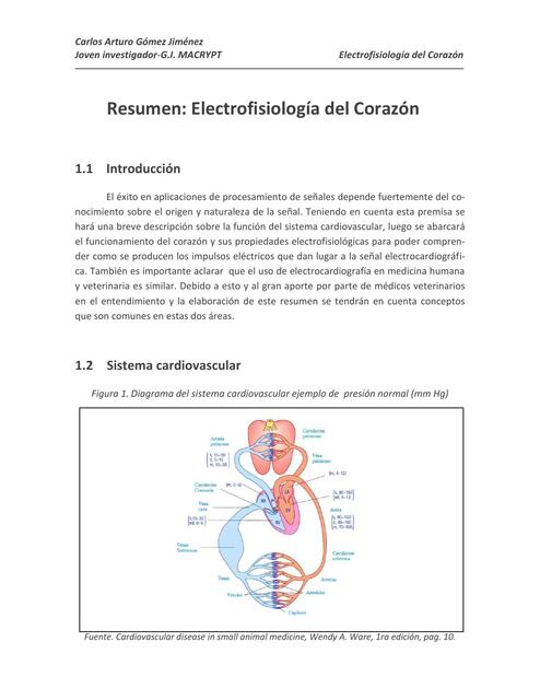 Electrofisiología Cardiaca