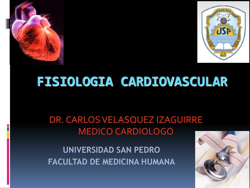 Fisiología Cardiovascular 