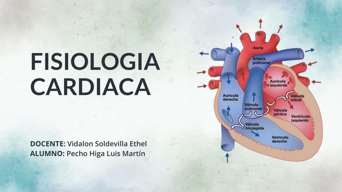 Fisiología Cardiaca 