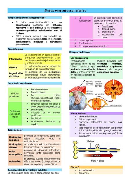 Dolor Musculoesquelético