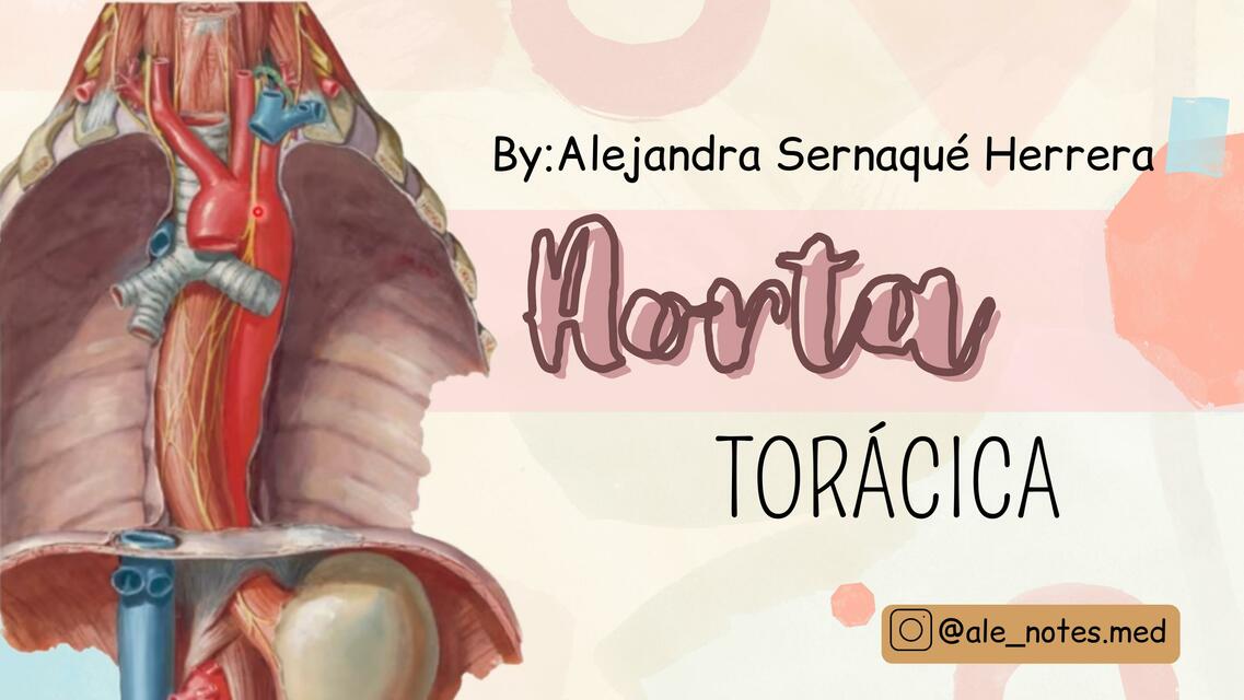 Aorta Torácica