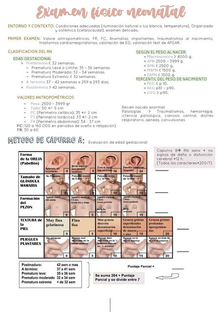 Examen Físico Neonatal