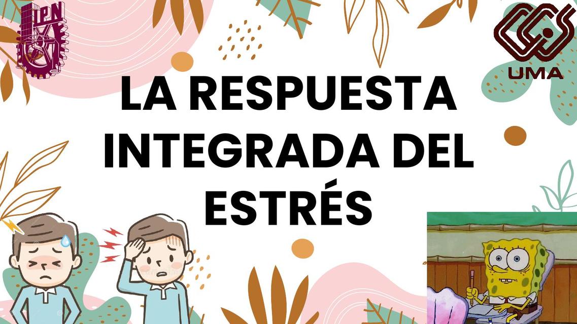 La Respuesta Integrada del Estrés (Parte I)