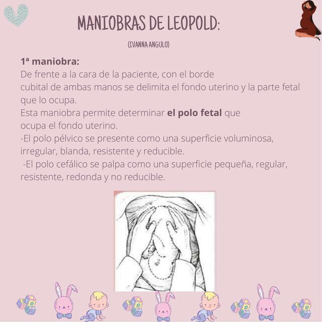 Maniobras de Leopold 