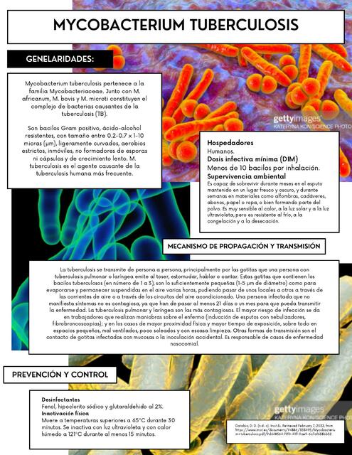 Mycobacterium Tuberculosis