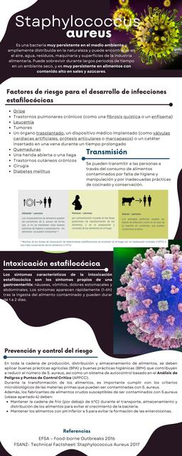 Staphylococcus Aureus