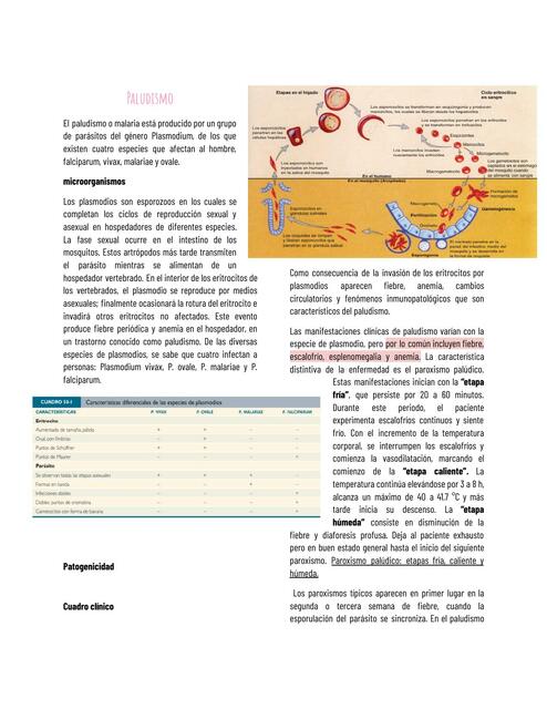 Sistema Hematopoyético- Microbiología