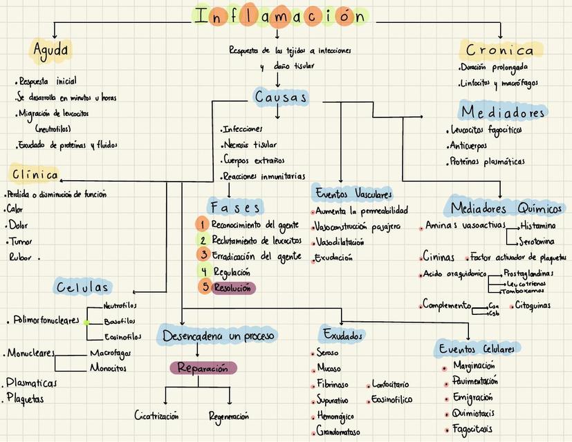 Inflamación 