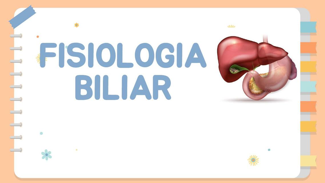 Fisiología Biliar 