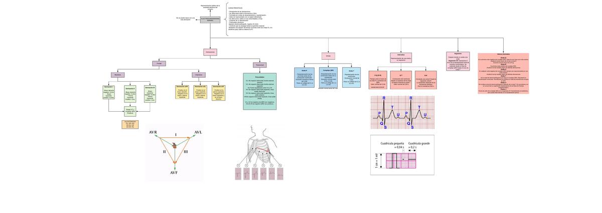 Electrocardiograma Normal