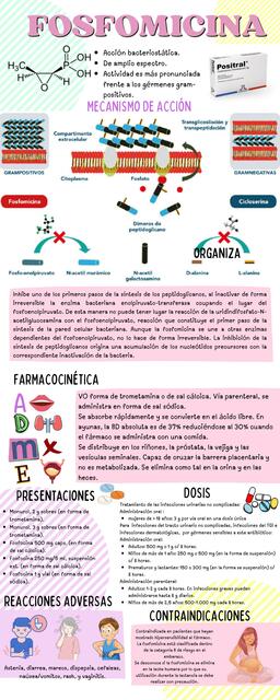 Fosfomicina y Cicloserina 