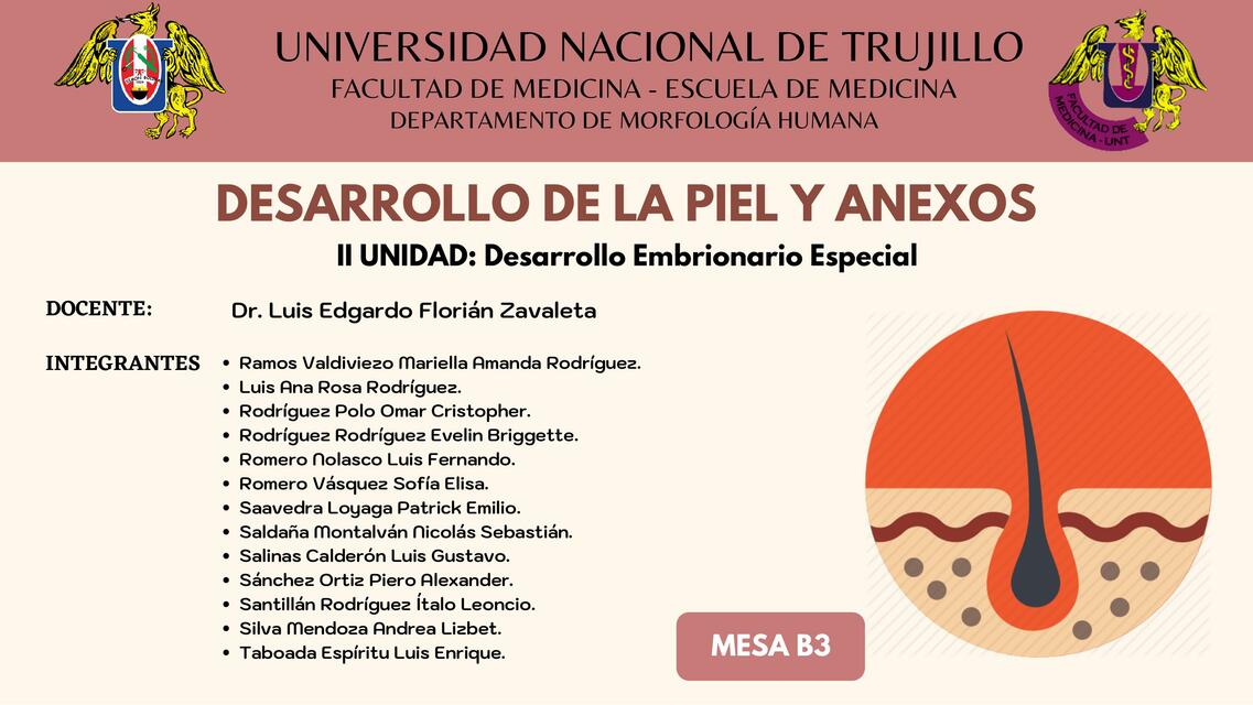 Desarrollo de la Piel y Anexos 