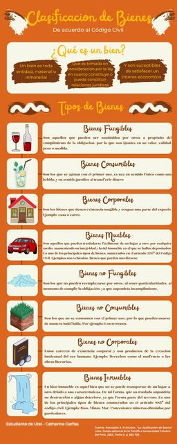 Infografia de bienes