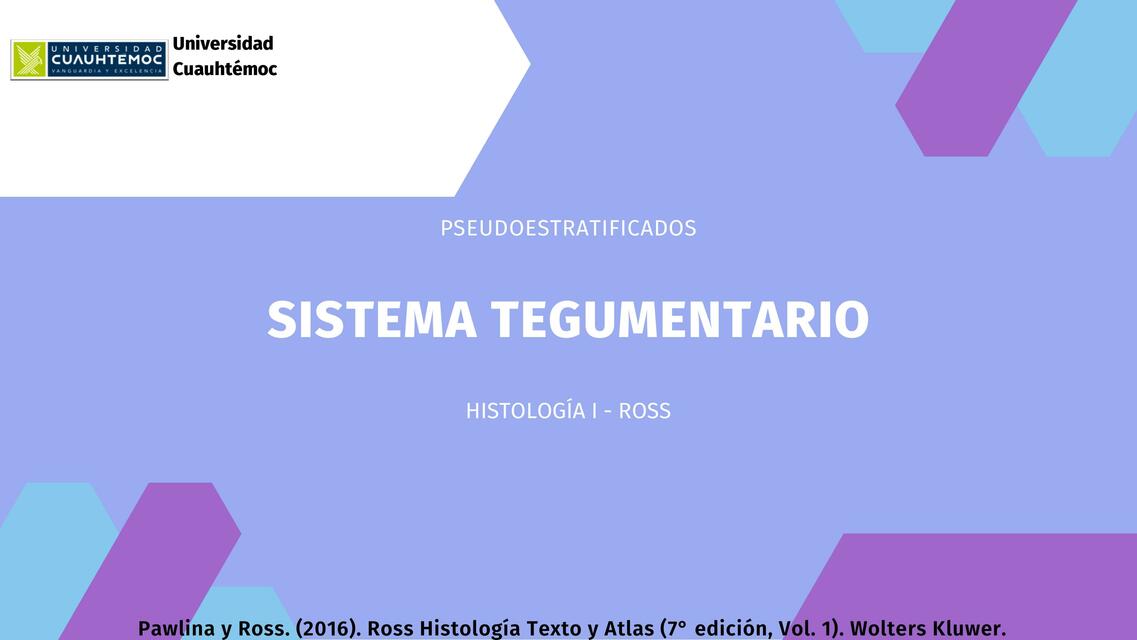 Sistema Tegumentario