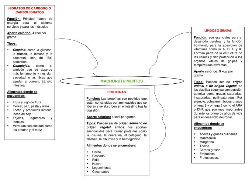 Micro y Macro Nutrientes 