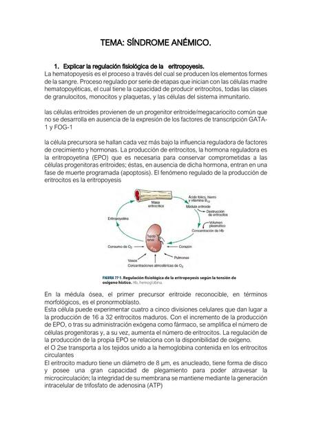 Síndrome Anémico 