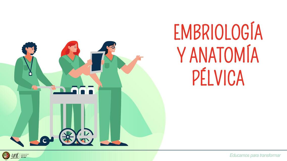 Embriología y Anatomía de la Pelvis