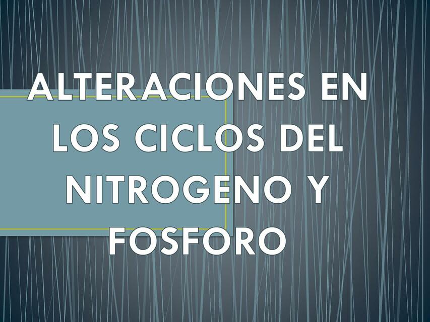 Alteración es en los  Ciclos del Nitrógeno 