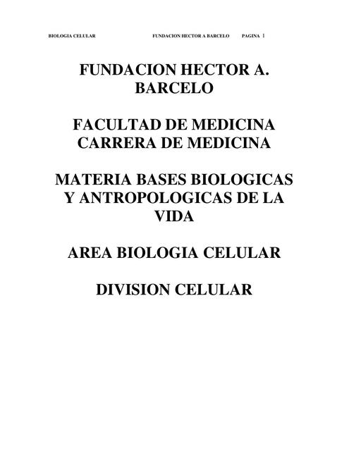 Biología Parte 13 División Celular