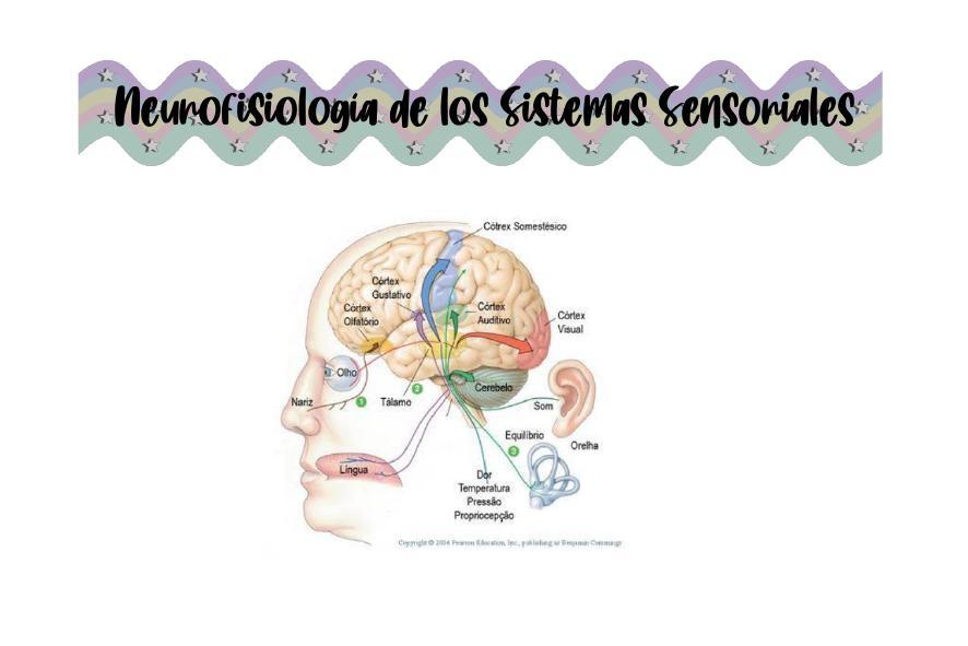 Neurofisiología de los sistema sensoriales