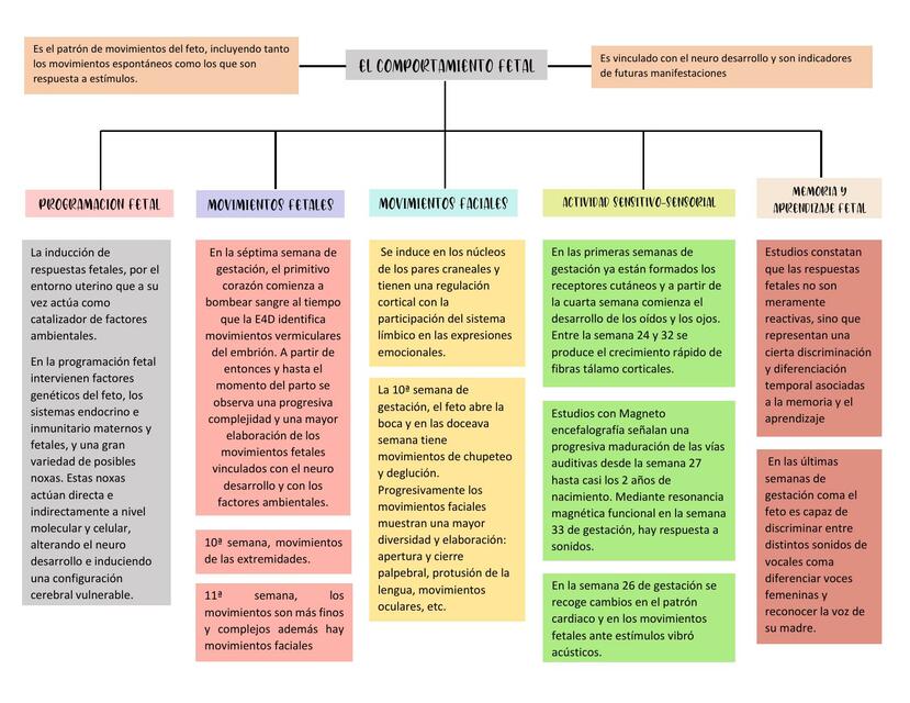 Comportamiento fetal