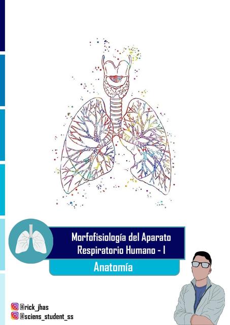 Anatomía del Aparato Respiratorio