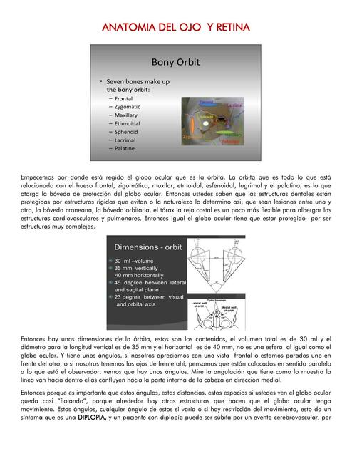 Anatomía del Ojo y Retina 